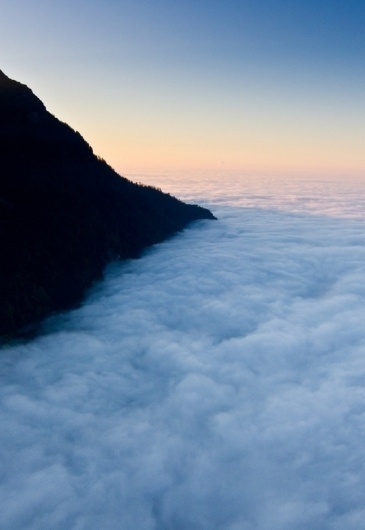 tumblr_m2uql4x4021qfwt2xo1_1280.jpg (530×768) #fog
