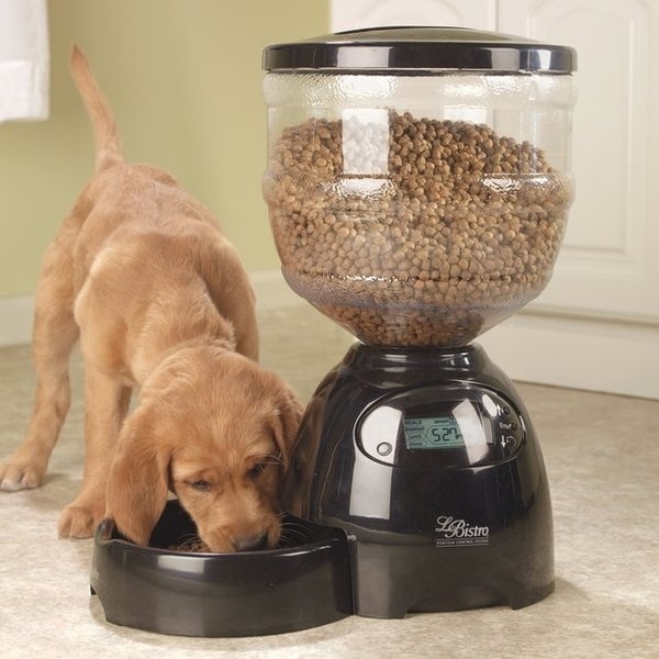 Petmate Le Bistro Programmable Pet Feeder #feeder #gadget #cat #home #dog