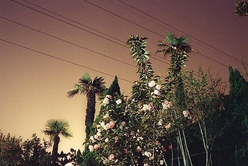 Davey Warren | PICDIT #photo #photography #landscape
