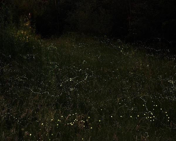 Home : Matthieu Gafsou #photography
