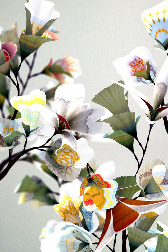 Daniel Brown's #flower