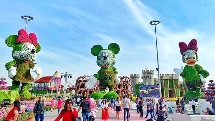 Disney Avenue at the Dubai Miracle Garden comprises of 9 native characters from Walt Disney company. These characters include Goofy, Mickey Mouse, Minnie Mouse, Donald Duck, Daisy Duck, Donald Duck's nephews and Pluto.