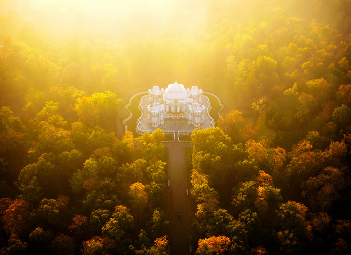 st #forest #palace