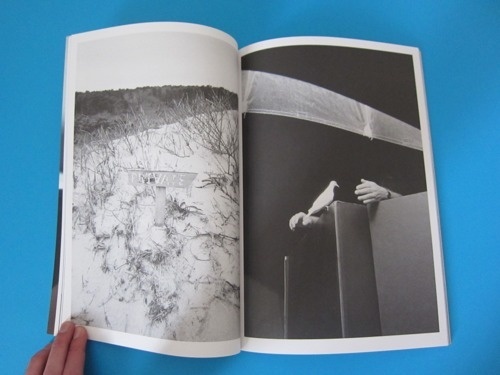 Hunter And Cook — Issue 10 « PICDIT #magazine #photography #printed #art
