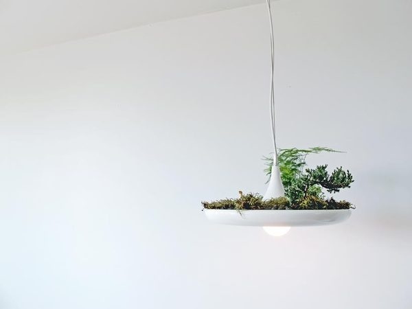 CJWHO ™ (babylon suspended garden light fixture by studio...) #lamp #crafts #design #interiors #furniture #garden #green