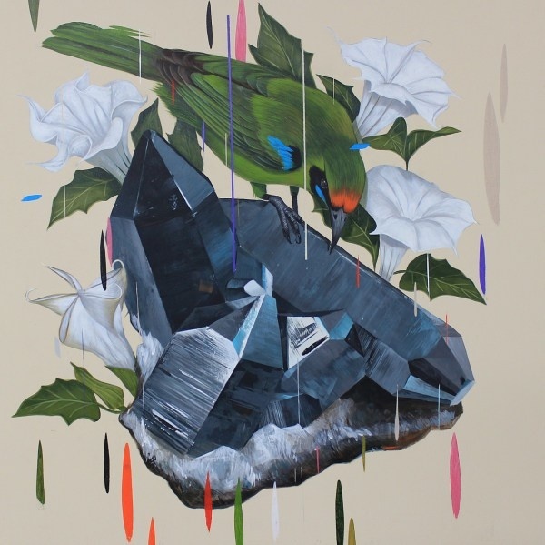 Frank Gonzales | PICDIT