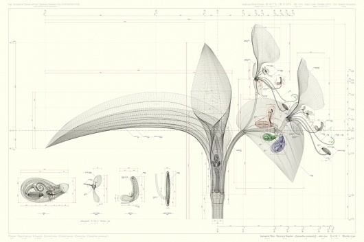 tumblr_lxjyieLMIR1r1w416o1_r3_1280.jpg (JPEG Image, 800 × 533 pixels) #drawings