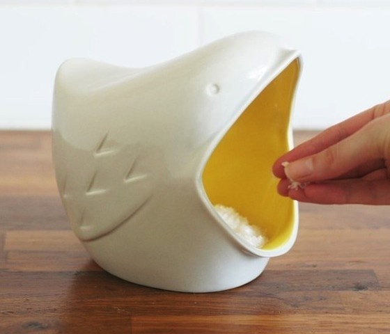 Salt Bird #home