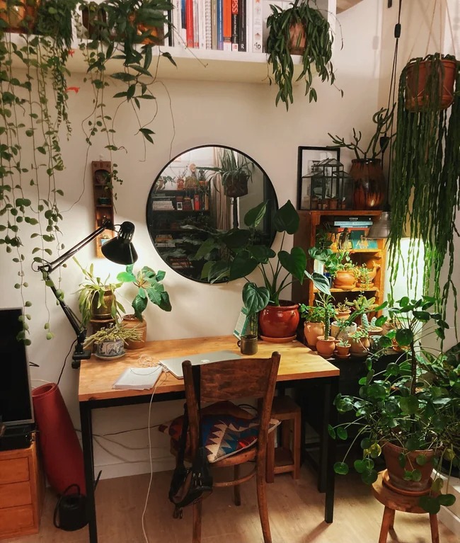 Cozy study