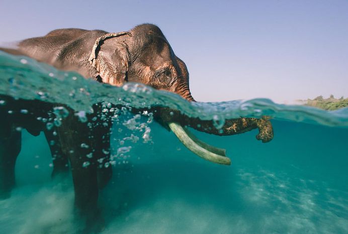 Outstanding Documentary and Adventure Photography by Jody MacDonald