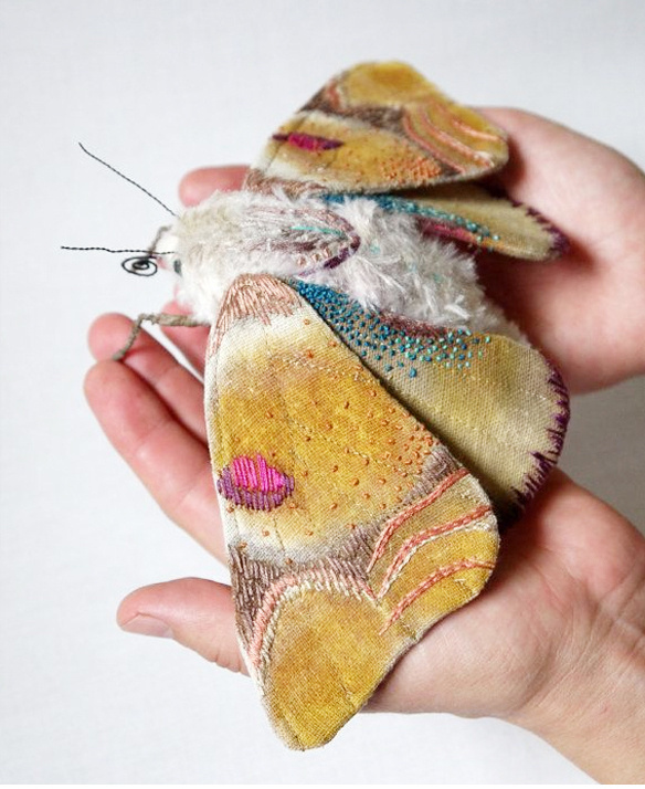 textile moths #moths #fabric #textile