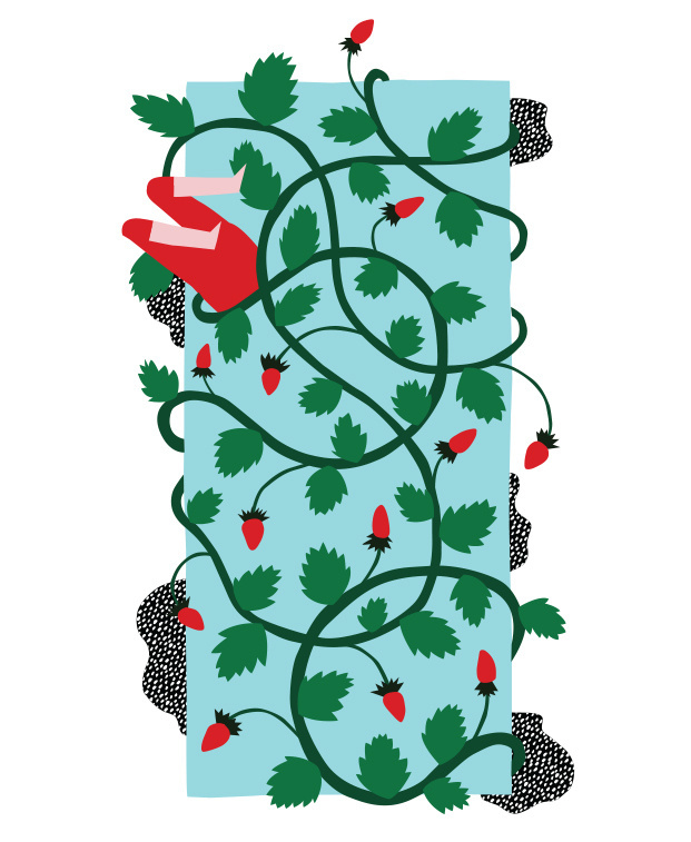 Wild Berries - Gust of Wind #illustration