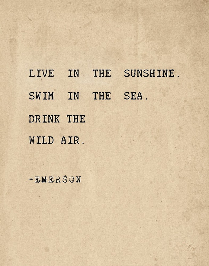 Live in the sunshine. Swim in the sea. Drink the wild air by Pranatheory