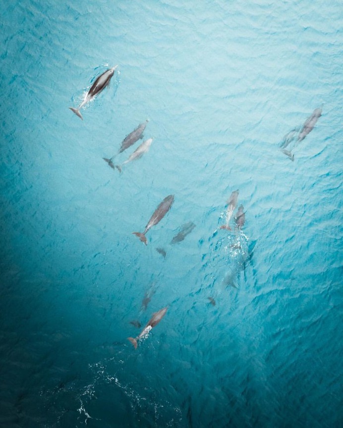 Sydney From Above: Striking Drone Photography by Philipp Kahrer