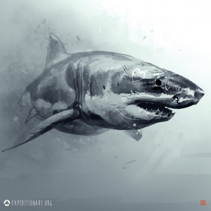 Great white shark
