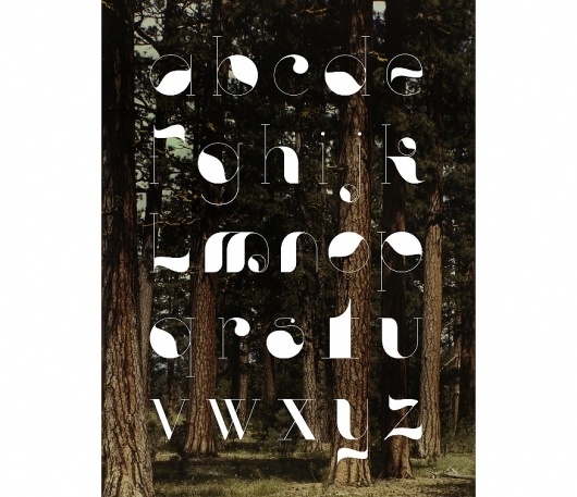 Forest - Grand National Studio #grand #studio #type #forest #national #typography
