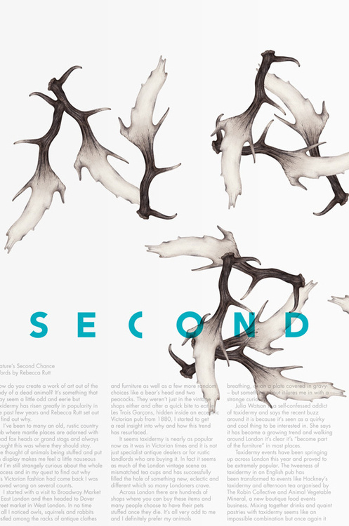 Typeverything.com #antlers #print #illustration #type #layout