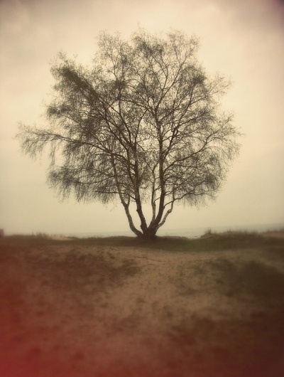 FOTO « DANIEL JOURNAL