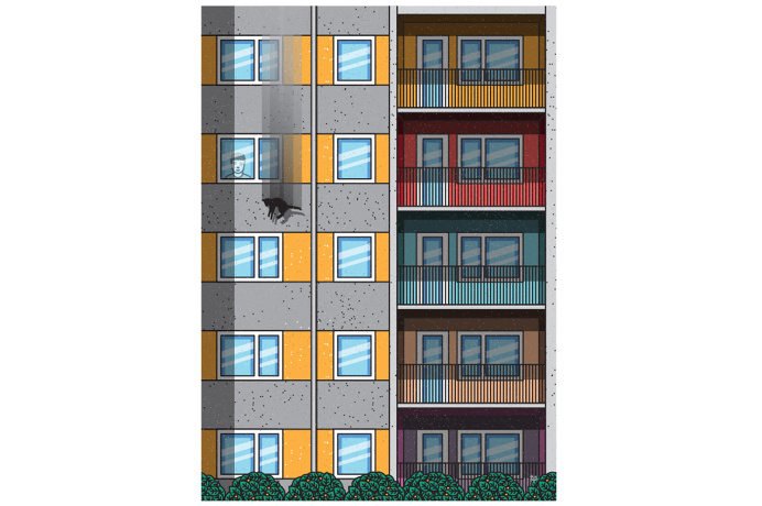 #illustrator #illustration #illustrated #vector #art #vectorart #design #draw #street #block #cat #glass #urban #street #streetart #flower #