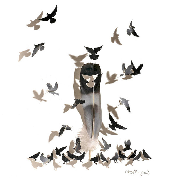 Amazing Robotic Moves from Poppin' John and the RobotboysOctober 25 #birds #sculpture #feather