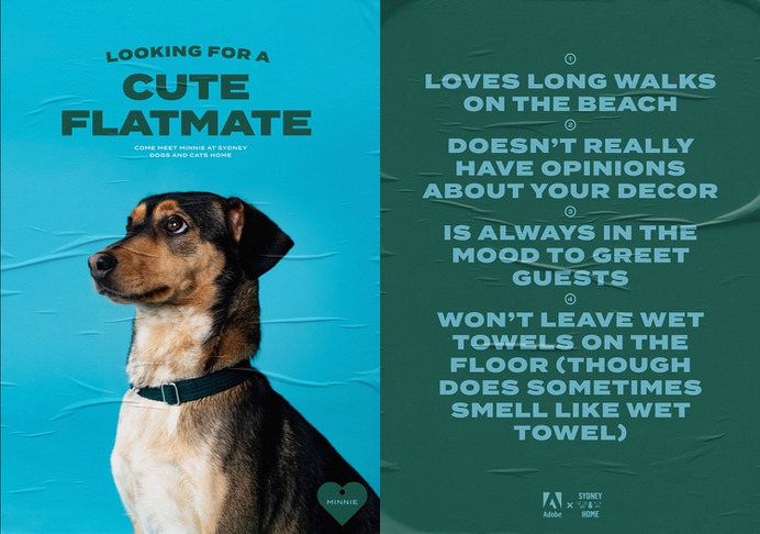 Adobe Pawtraits - Mindsparkle Mag For The People & ilana grace designed this beautiful project named Adobe Pawtraits. #logo #packaging #identity #branding #design #color #photography #graphic #design #gallery #blog #project #mindsparkle #mag #beautiful #portfolio #designer