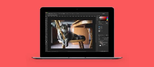 The Ultimate Raster Graphics Software List: 8 Programs to Consider
