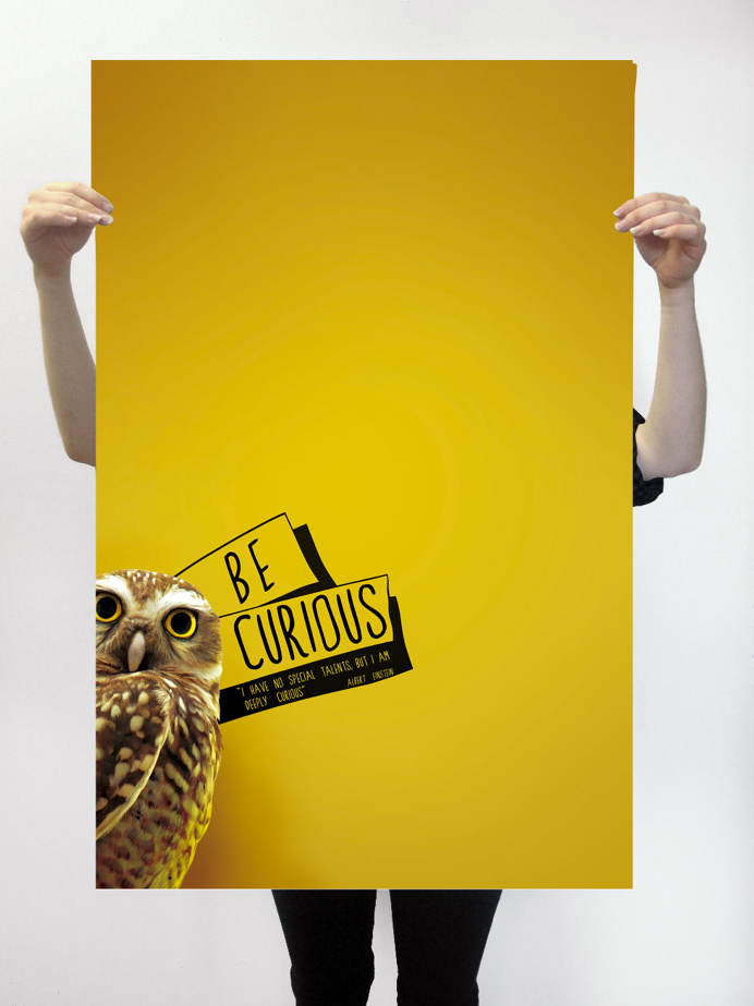 #buho #animal #yellow #bird #text #typography