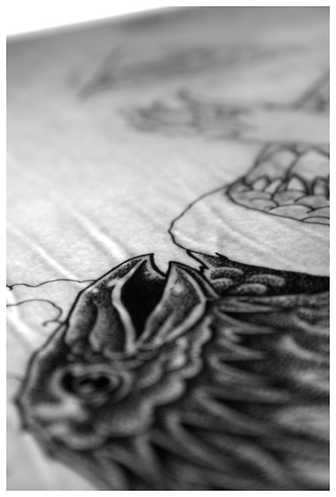 Heres a sneak peek of what I have currently been working on.Will reveal more soon. #white #black #illustration #and #rendered #hand