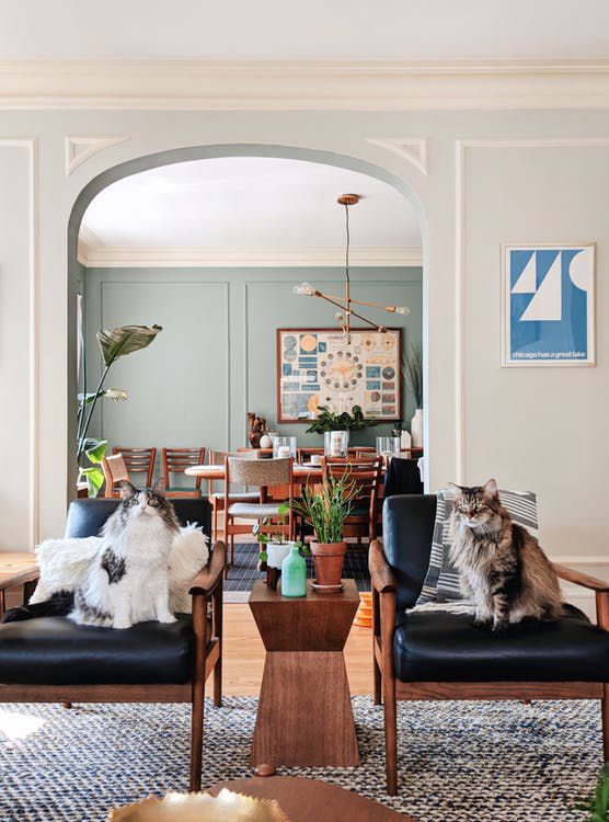 A Plant-Filled Condo With Beautiful Architecture | Apartment Therapy