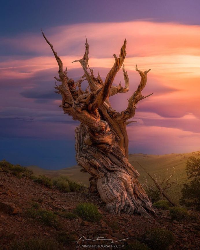 Majestic Nature and Landscape Photography by Greg Boratyn