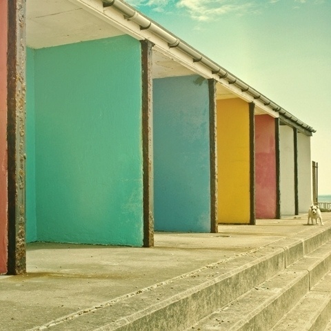 colorful walls&a dog | Flickr - Photo Sharing! #walls #photography #colors #colour