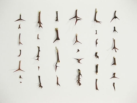 Thorns – Cui Fei #fei #cui #art