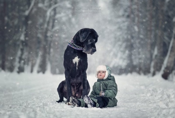 Little Kids And Their Big Dogs by Andy Seliverstoff