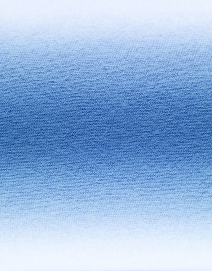 Scheltens Abbenes #abbenes #scheltens #study #man #blue #fantastic