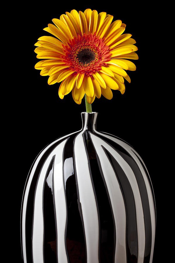 daisy painting & daisy paint by number #painting