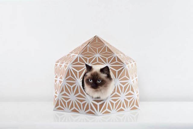 The Cat Box by Delphine Courier-5 #sustainable #pattern #cat