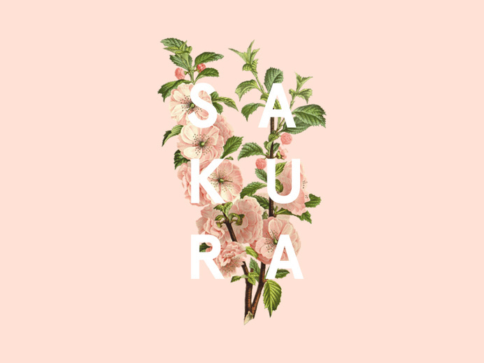floral logo design #green #botanical #pink #blossom #type #floral #cherry #flower #logo #sakura #typography