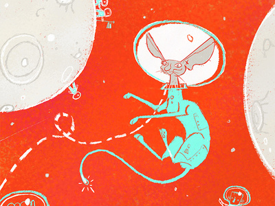 space cat