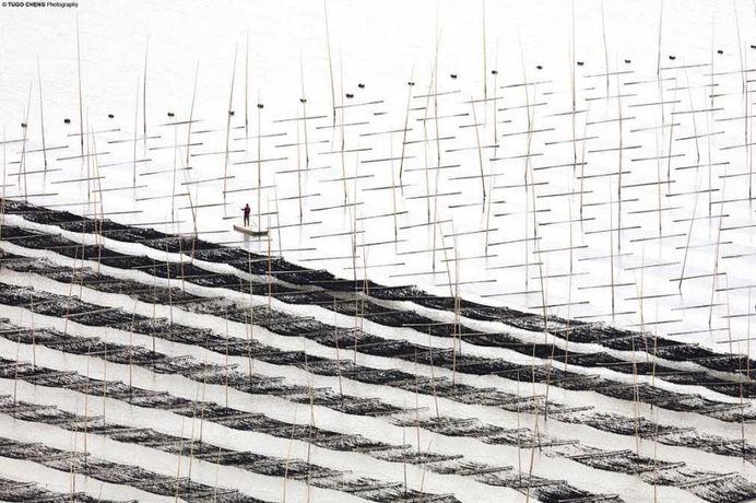 Unknown China: Coastal Geometries of Bamboo Worlds by Tugo Cheng