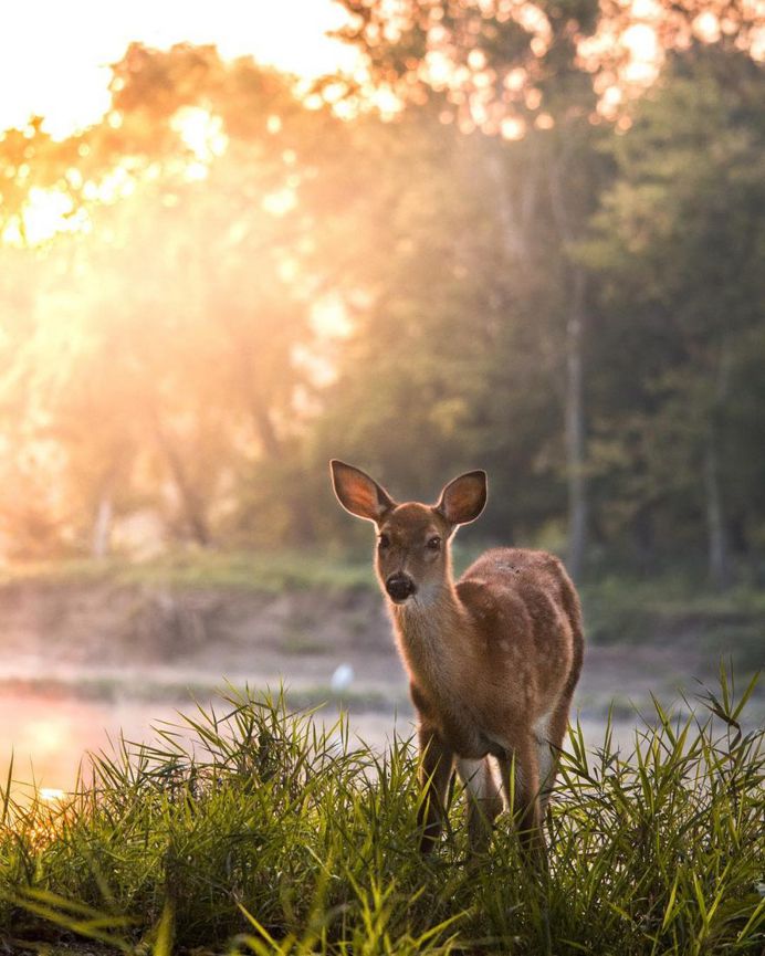 Fantastic Nature Photography by Logan Brown