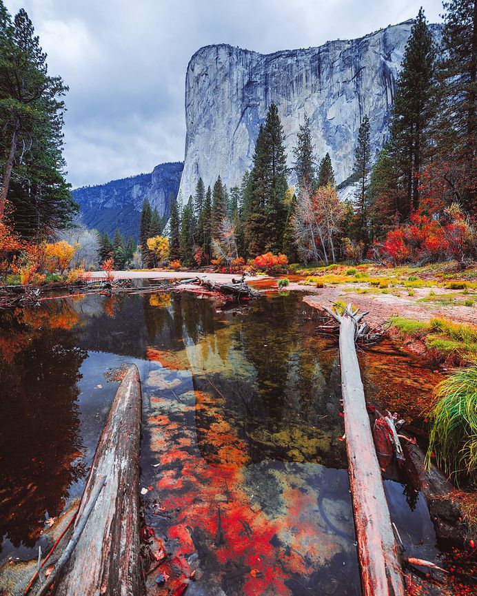 #autumn: Beautiful Nature Photography by Glenn Lee Robinson