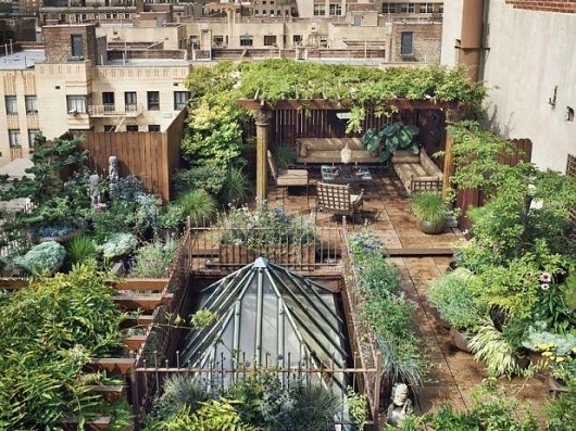 149705_367055966677158_104438892938868_998044_922115293_n.jpg (618×463) #rooftop #plants #design #architecture #green