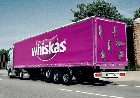 Whiskas Advertisment Design Idea ins #ideas #ads
