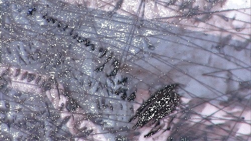 CJWHO ™ (GIFs of the Intricate Process Behind a...) #illustration #design #gif #art