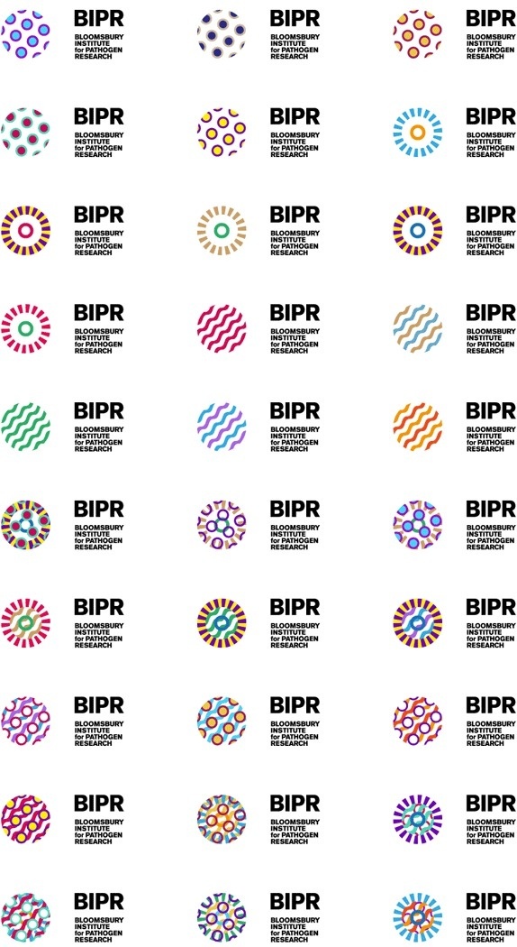BIPR Logo and Identity #logo #identity #branding
