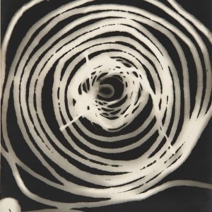 MAN RAY: "RAYOGRAPHS, ETC."