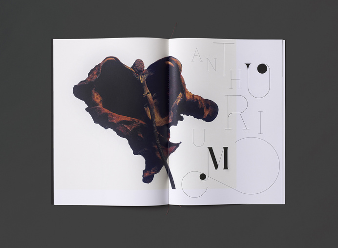 Derek Samuel has created a beautiful catalogue for photographer Isamu Sawa's Without Water