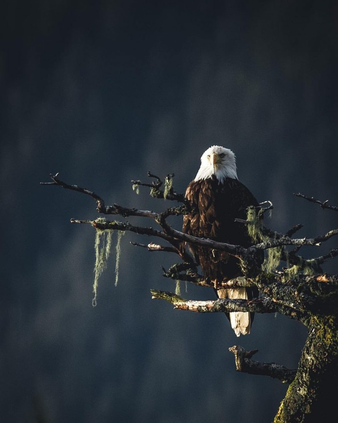Wonderful Outdoor and Landscape Photography by Callum Snape