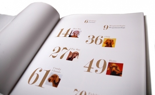 William Wegman | Silvia Mallofre #weimaraner #book #dog