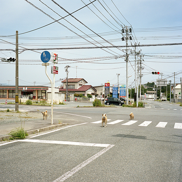 Toshiya Watanabe : Fraction Magazine #watanabe #photography #toshiya #japan
